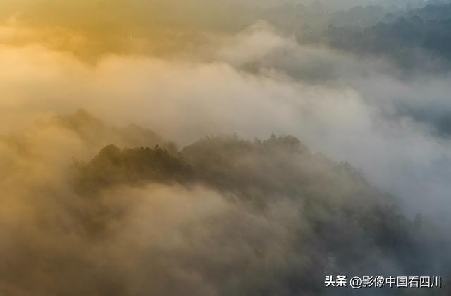 四川雅安：碧峰峡风光旖旎引客来