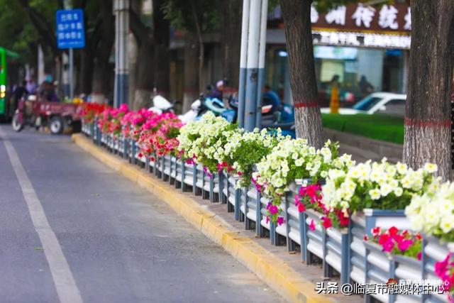 临夏市：一座把“浪漫”写进马路牙子的城市