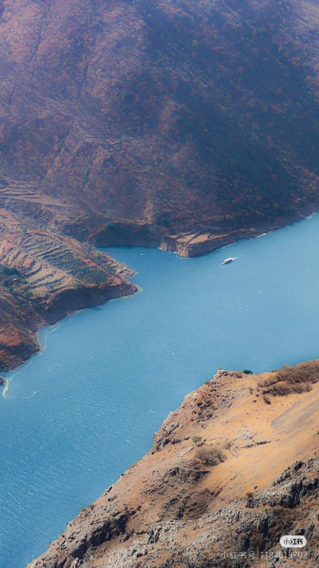 美疯了！高铁直达“四川小三亚”，花海开爆！草莓按盆吃，烧烤香迷糊！