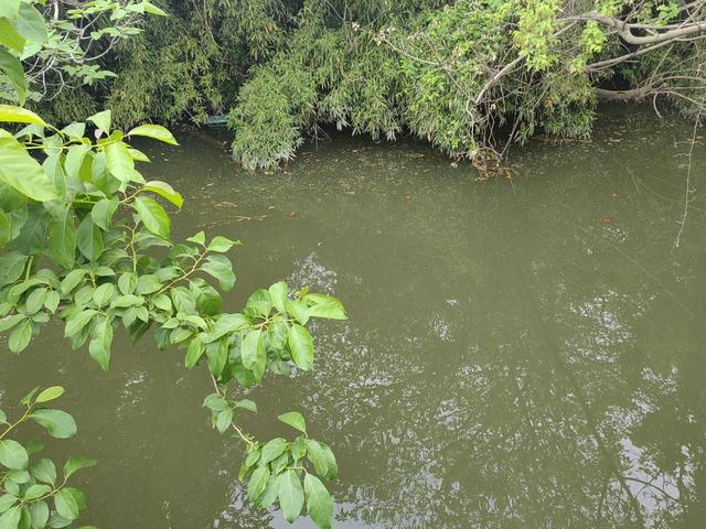 游宁波庄桥街道马径村