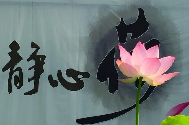 一个很玄学的现象：人的长相，是根据他的人生任务搭配好的