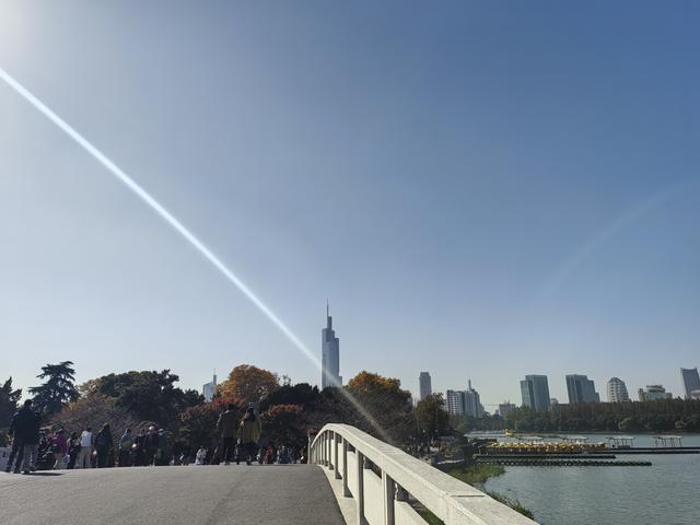 碧云天，黄叶地。秋色连波，波上寒烟翠一一玄武湖银杏迟