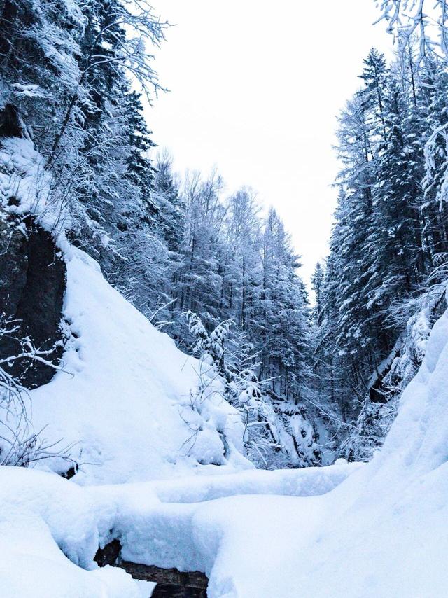 勇闯长白山雪谷！这才是冬天最硬核的打开方式
