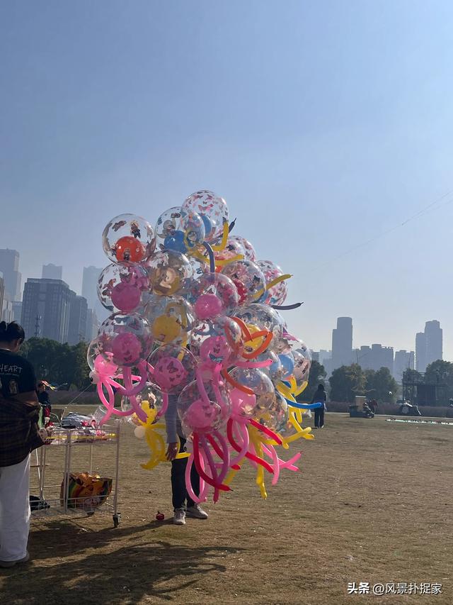 南昌马兰圩公园，七彩花海拍照太美了！