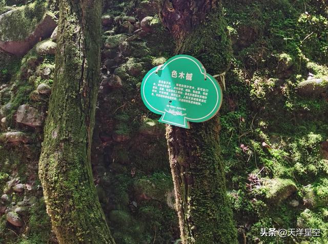 铜川文旅急需改进作风，一切以游客需求为导向。