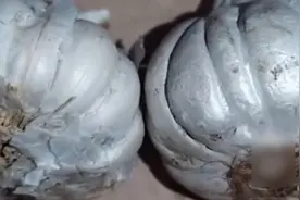 印度水泥大蒜上热搜！神操作还有很多，最后一个让全世界又爱又恨图片