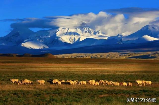 太绝了！西藏那些一眼难忘的山形！你认识几座？