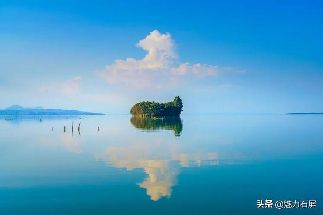 这一刻，“大鱼海棠”具象化了｜有一种叫云南的生活之365天