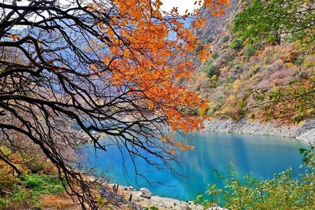 四川这个地方的初冬，是彩色的！