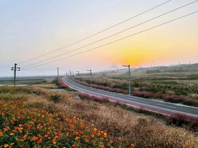 秋深景更美！运城最绚烂时刻到了！