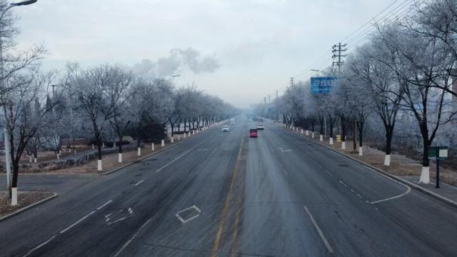 大雪时节台安雾凇绽放 绝美风光引客打卡