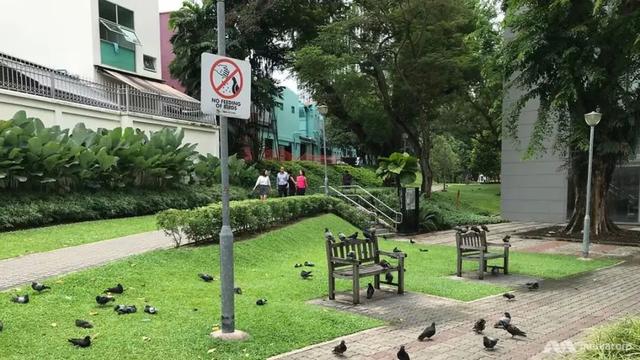 这免签国，天崩开局！却在世界之巅！已被中国游客挤爆！