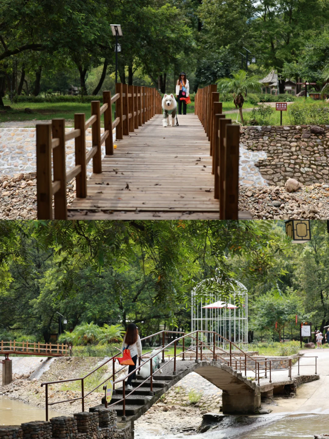 在韶关，带毛孩子去哪“浪”？这份宠物友好地图请收藏，撒欢不踩雷~