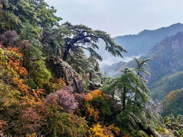 老界岭管理团队：南北分界线上的文旅蝶变