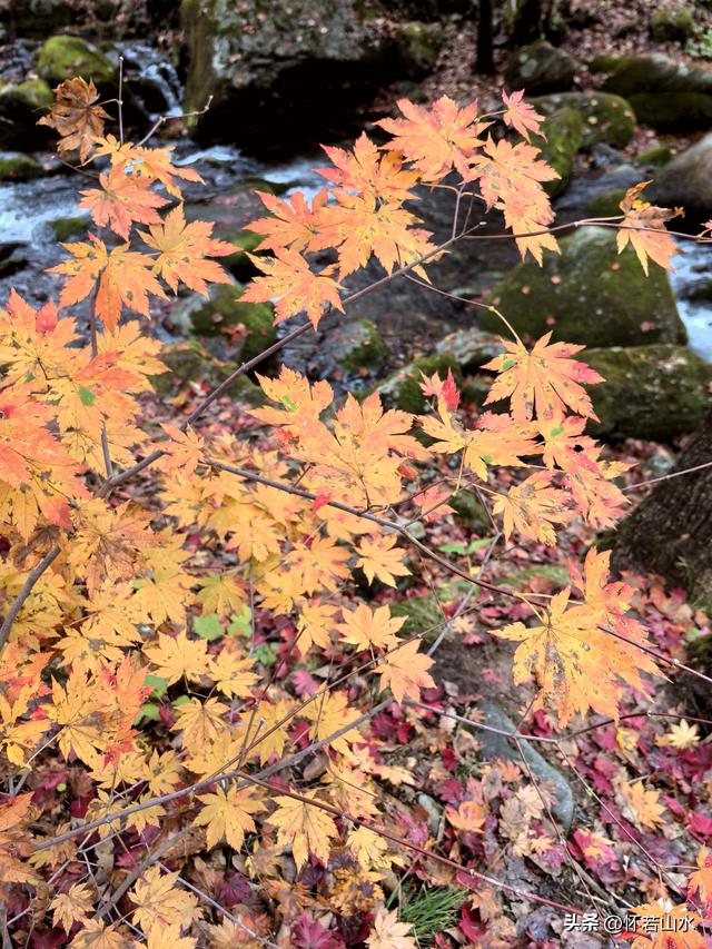 2025辽宁赏秋之旅日记(3)——游览洋湖沟和老边沟