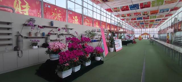 靖远冬日新地标，元旦水岸三合见，嗨翻整个冬天！