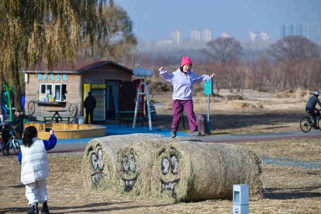 哇！赛汗塔拉里，好多好多“瑞士卷”