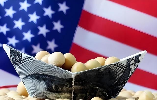 美豆农迎来机会，中方终于采购美豆，黄仁勋直言：损失比中国更大