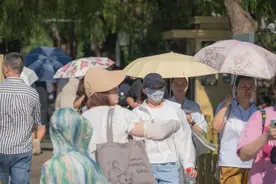 预约到底有多难？我们走访了国博、故宫图片