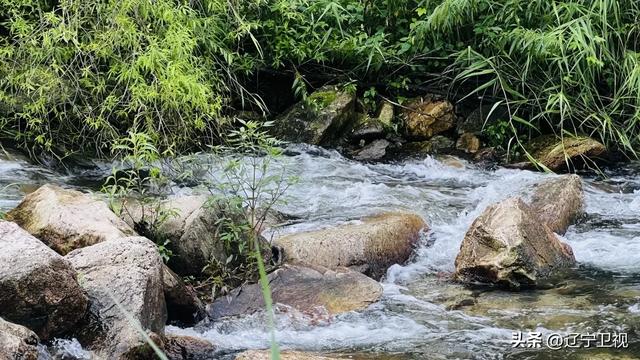 走!去本溪的山里过夏天,随手一拍都是《国家地理》同款