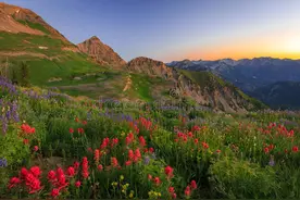 最爱你的人是我，最疼爱你的人，还是我图片