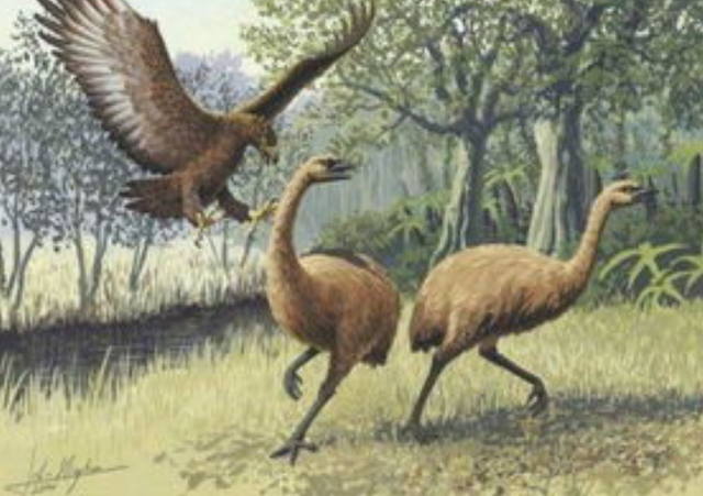 中国人为啥对酸味又爱又恨？一文讲清楚这背后的亿年演化历史