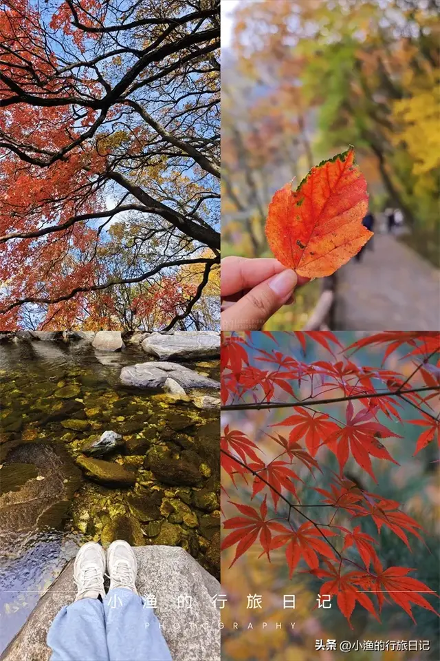 红叶、玻璃湖、悬空栈道！陕西秦岭绝美赏秋地，又到一年最美时