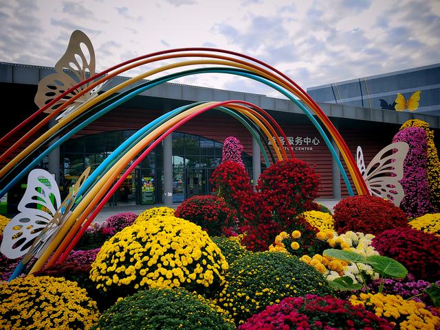 武汉动物园金秋菊展集锦