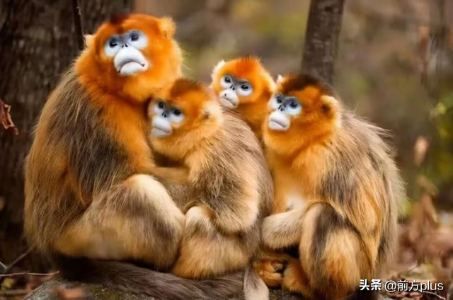 半价游西安！冬日景区福利上线