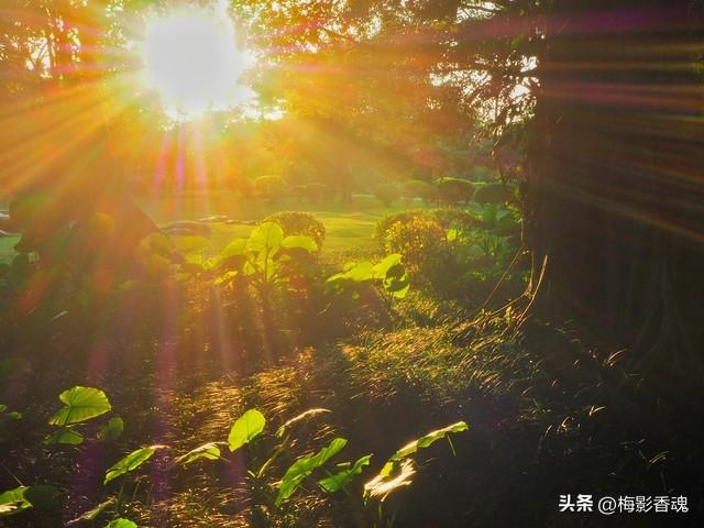 两性关系：不管你信不信，男性过了60岁后，基本都有这几个现状