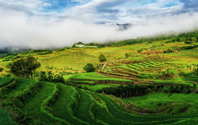 跟着赛事去旅游｜五指山：探五峰叠翠，闯雨林天路