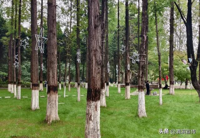 国庆这样玩！茵香河文化旅游区邀您“十一”畅享假期好时光