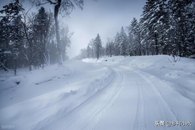 今冬数九时间表来了！从哪天开始入九？春节在几九？过年很冷吗？