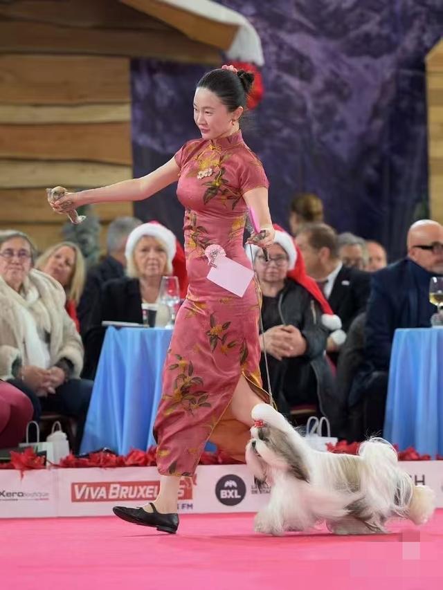 霍思燕携爱犬参加国际比赛获得全场总冠军，杜江自豪发文