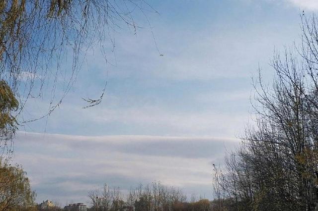 北京奥林匹克森林公园 城市中的绿色明珠