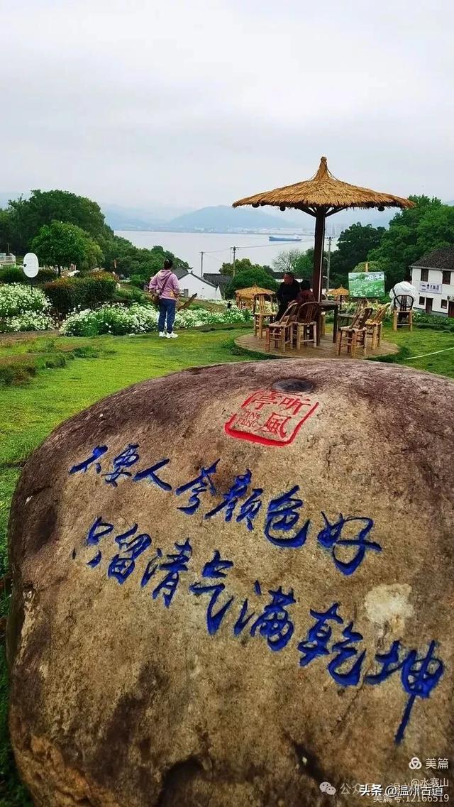浙江这个山海古村，处在网红风景线上，丛林秘境中藏着一片花海