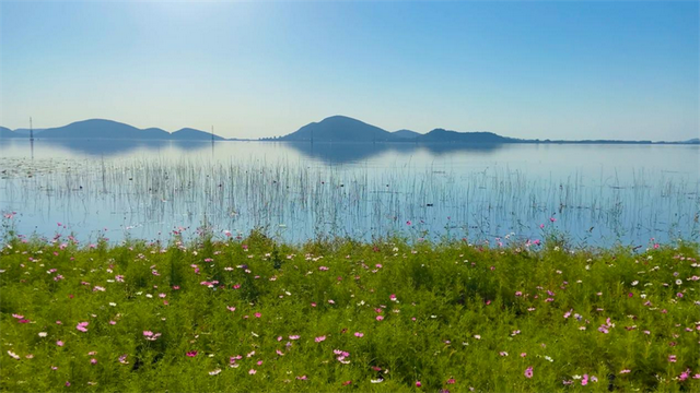 行进中国｜山东东平：湖清岸绿绘新卷