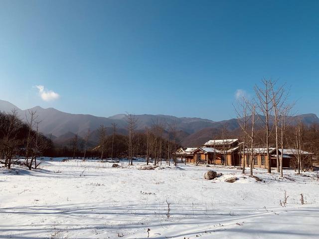 12月-次年2月，适合去看的7处好风景，茫茫雪景，极致浪漫