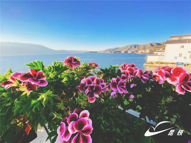 乘动车去大理！在古城追晚霞，洱海畔等风来