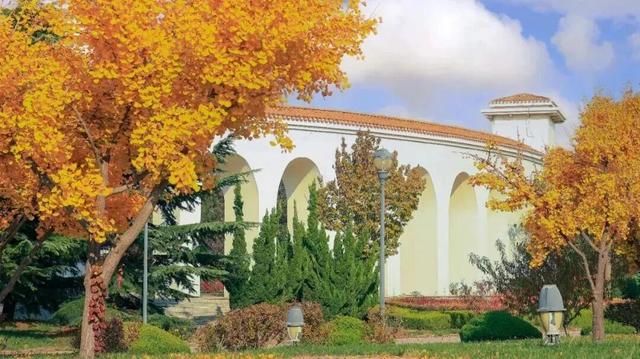 山东这座宝藏小城，坐拥中国四大名楼之一！苏轼、秦始皇都为它打call！