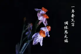 情人关系相处越久越痛苦，趁早放手是最好的选择，赞同吗？图片