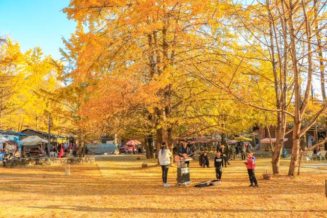 反向避寒指南：这5个温暖目的地，让你这个冬天既省钱又舒心！