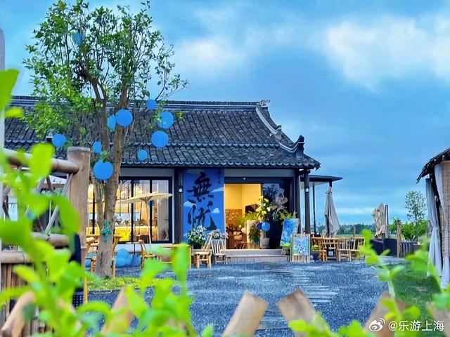 上海夏日漫游！探索沪郊秘境