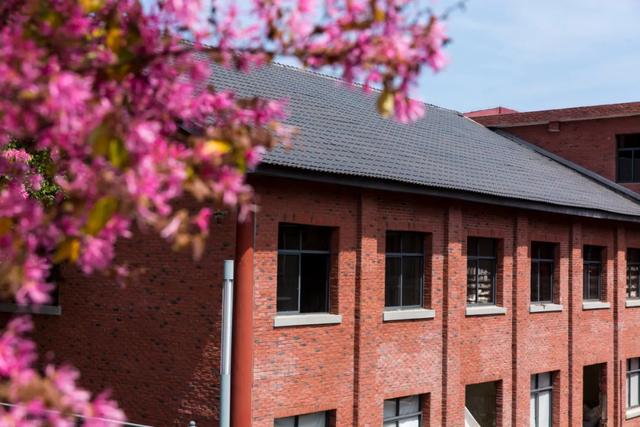 来醴陵不止有“三件套”,还有……