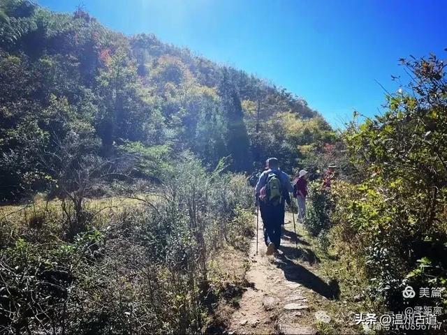 醉美林坑晒秋！这条连接两个避世古村落的省一级古道，周末可走起