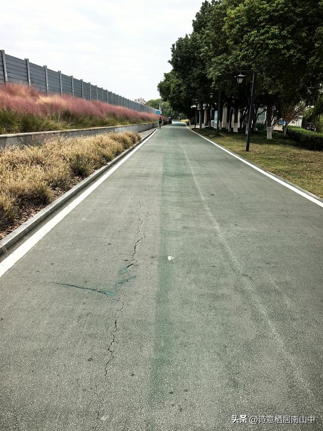 环长江(内环)骑行观光的路线与趣味:一江秋光连天际，满城烟火…