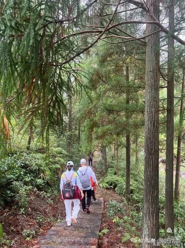 周末徒步去！这个有"温州版武功山"之称的名山，你可要去爬一次