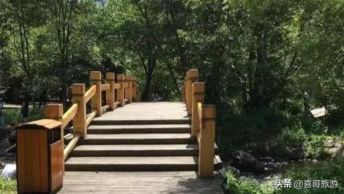 寻梦孟家岗森林公园：林海深处的静谧桃源