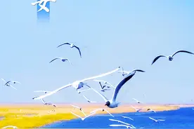 早啊！新闻来了〔2025.3.31〕图片