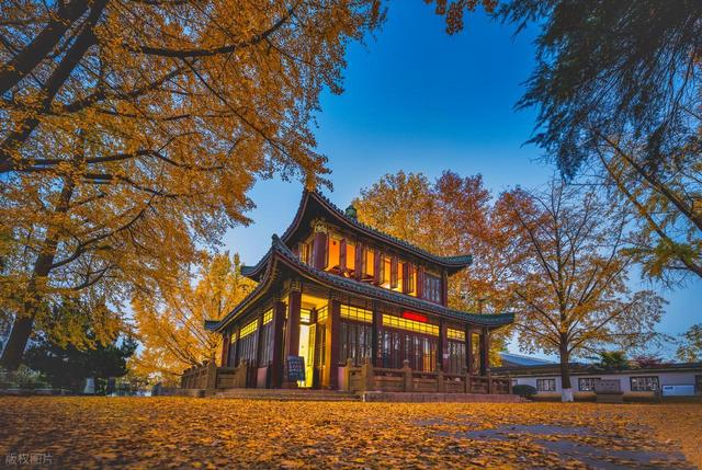 11月适合去哪里旅行，这5个地方，全是深秋时节好光景